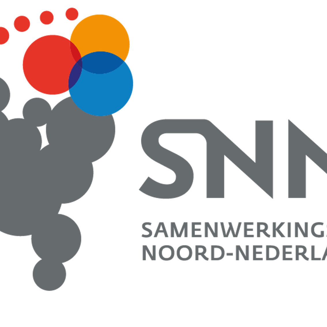SNN logo GRIJS naamvoluit