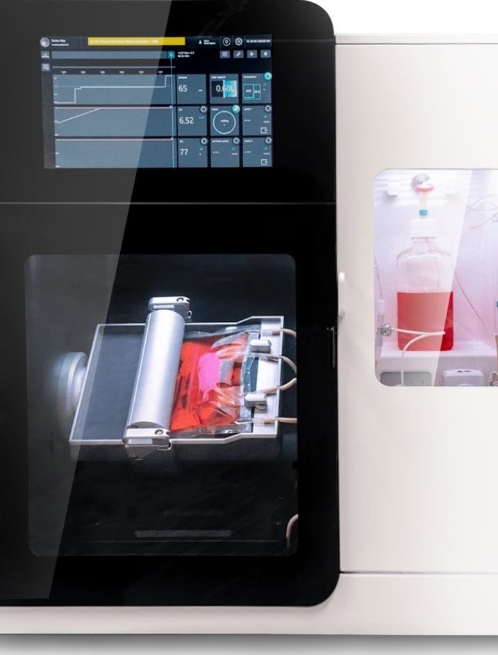DIS-scinus-bioreactor