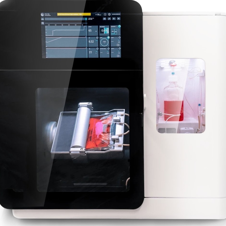 DIS-scinus-bioreactor