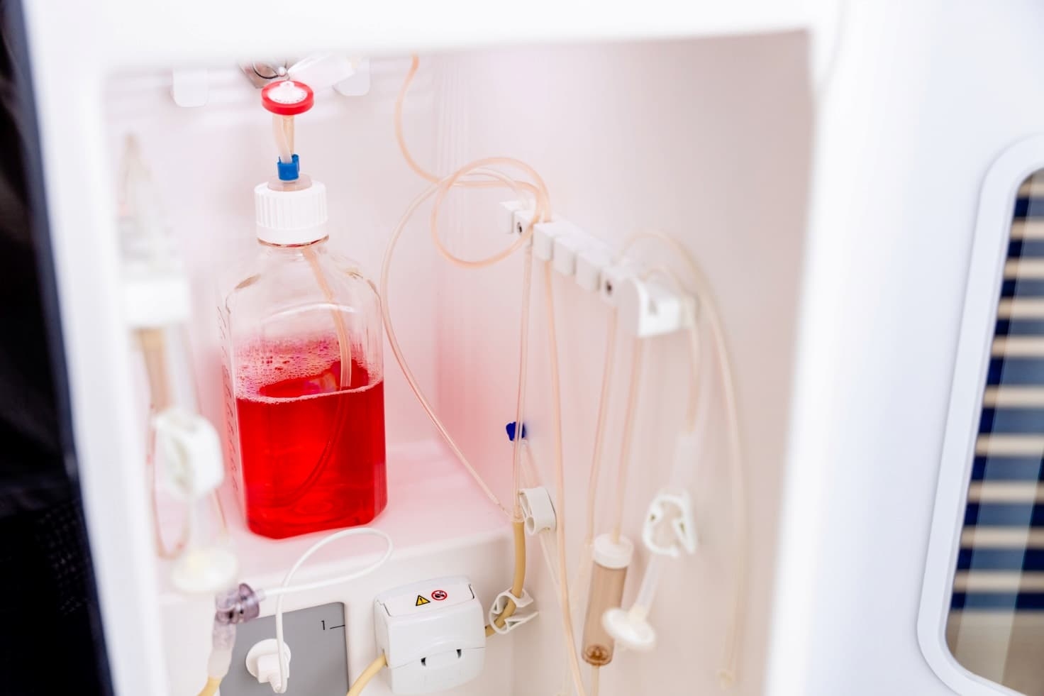 DIS-scinus-bioreactor-inside