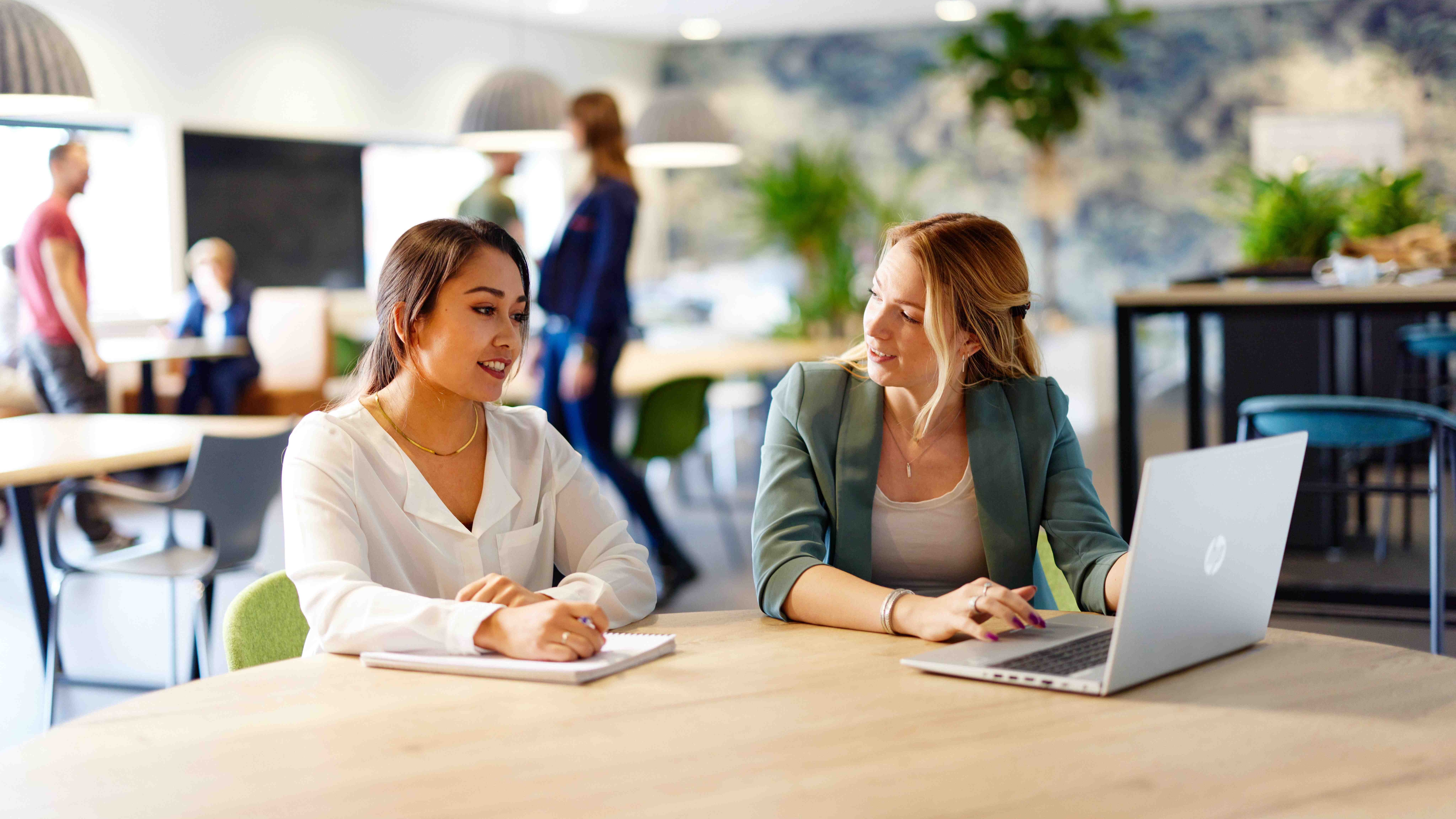 Female colleagues talking contact and privacy statement